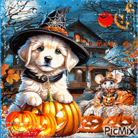 Halloween Dog GIF animé