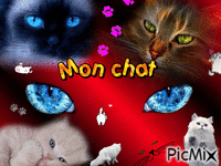 MY CAT - Bezmaksas animēts GIF