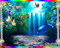 Bello delfin - GIF animé gratuit
