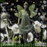 Dandelion Fantasy
