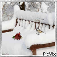 Rose sur la neige - GIF animasi gratis