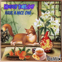 Happy Tuesday. Have a nice one. Te and cat - GIF animé gratuit