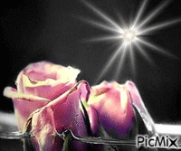 роза - Ingyenes animált GIF