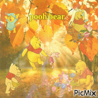 pooh bear - GIF animé gratuit