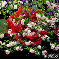Rosa - GIF animado grátis