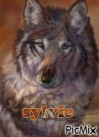 sylvie - Безплатен анимиран GIF