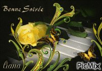 good evening with a yellow rose... - Gratis geanimeerde GIF