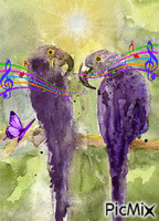 Polly wants to sing! - GIF animado gratis