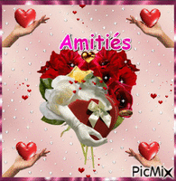 Amitié - Animovaný GIF zadarmo