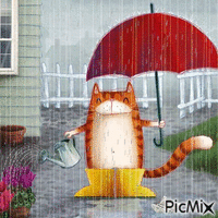 chat botté - Zdarma animovaný GIF