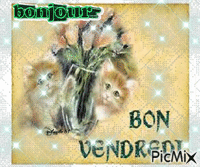 bonjour Animated GIF