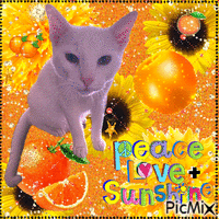 peace Love + Sunshine - GIF animé gratuit