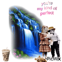 You`re My Kind Of Perfect 动画 GIF