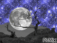 “La lune est le rêve du soleil.” GIF animé