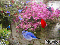 primavera y colores - GIF animado grátis