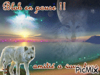 Loup blanc - Bezmaksas animēts GIF