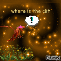 please i need to know - Free animated GIF
