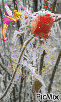 winter rose - 免费动画 GIF