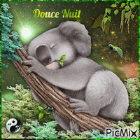 Koala Douce Nuit - Бесплатный анимированный гифка