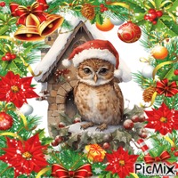 Christmas owl geanimeerde GIF