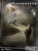 horse's angel - Besplatni animirani GIF