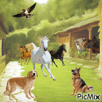 Koně animēts GIF