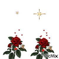 Les fleurs rouge - Ücretsiz animasyonlu GIF