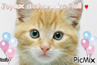 Joyeux anniversaire Nell - GIF เคลื่อนไหวฟรี