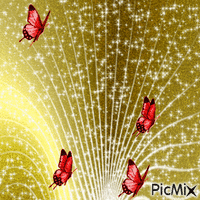 Les papillons - Darmowy animowany GIF