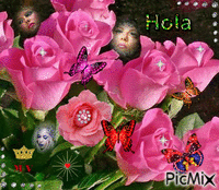 rosas hola - 免费动画 GIF