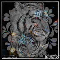 tigres animès ,,, - 無料のアニメーション GIF