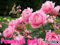 Розовый рай - Ilmainen animoitu GIF
