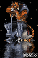 le roi tigre - Ücretsiz animasyonlu GIF