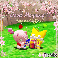 Amy and Tails chao morning Gif Animado
