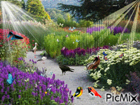the bird анимиран GIF