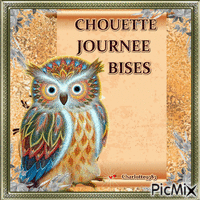 Chouette - Free animated GIF