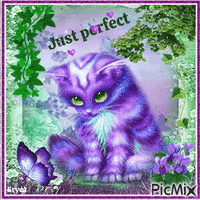 Petit chaton ( tons vert et violet )