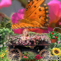 BUTTERFLY AND LOVE animirani GIF