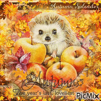 Autumn animals Hedgehog - Nemokamas animacinis gif