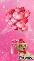coeurs et chien Animated GIF