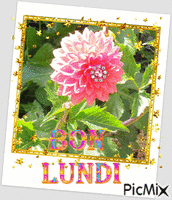 LUNDI5 - Δωρεάν κινούμενο GIF