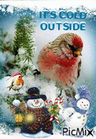 It's Cold Outside - GIF animé gratuit