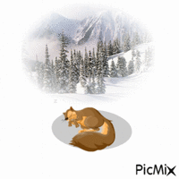 Cozy squirrel - GIF animé gratuit
