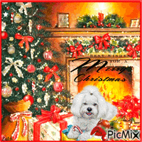 Best wishes for a Merry Christmas GIF animata