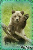 ours brun - Darmowy animowany GIF
