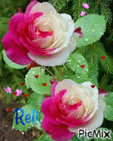 roses so sweet - GIF animado gratis