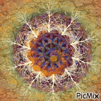 Mandala Animated GIF