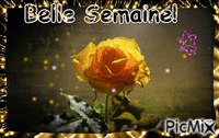 Semaine - Free animated GIF