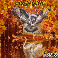 October owl GIF แบบเคลื่อนไหว