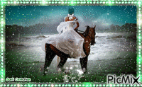 Cavalo na Neve - Kostenlose animierte GIFs